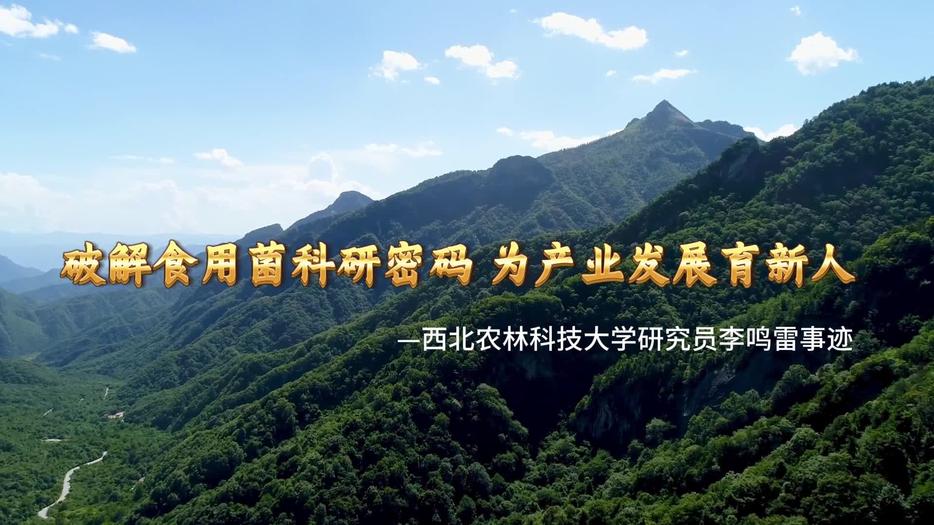 破解食用菌科研密码 为产业发展育新人——李鸣雷研究员事迹